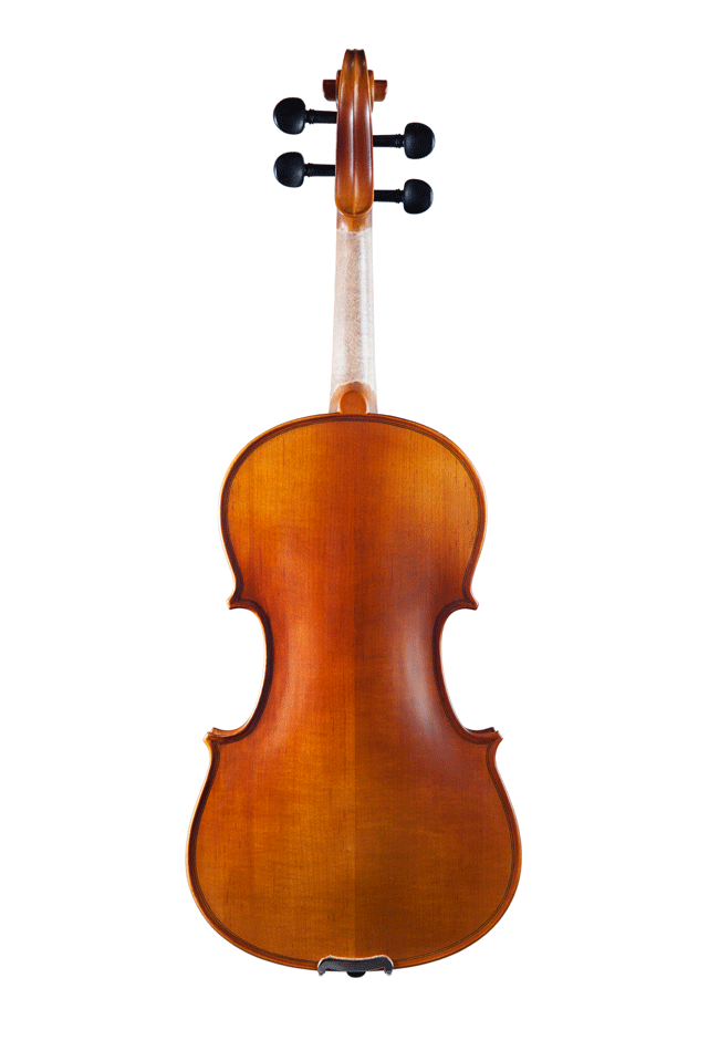 입문용 바이올린 프란즈오토 300 탑솔리드 유럽목재 [Franz OttO] ◈ Mod.300 ◈ (Beginner Violin)